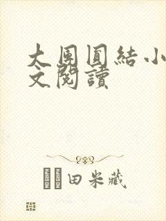 大团圆结小茹全文阅读