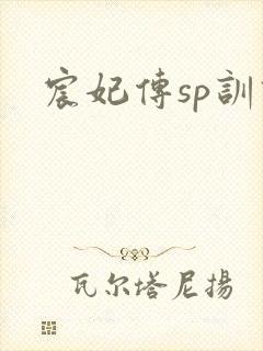 宸妃传sp训诫