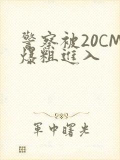 警察被20CM爆粗进入