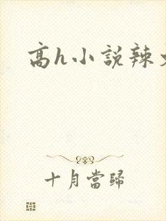 高h小说辣文