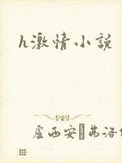 h激情小说
