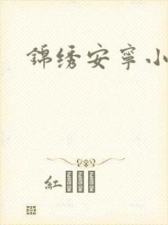 锦绣安宁小说