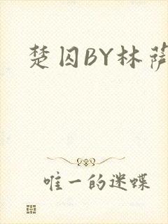 楚囚BY林萨封面