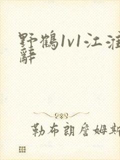 野鹤1v1江淮辞