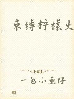 束缚柠檬火焰封面