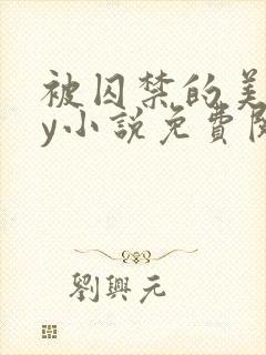 被囚禁的美人by小说免费阅读