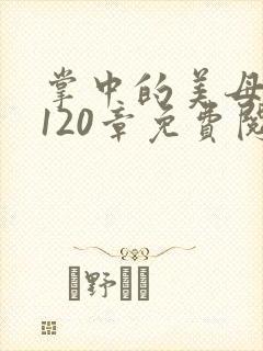 掌中的美母版主120章免费阅读