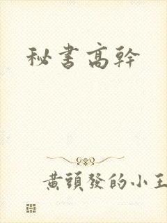 秘书高干封面