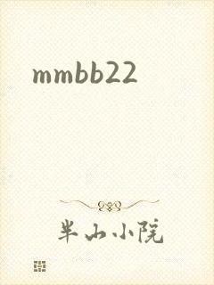 mmbb22封面