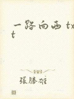 一路向西 txt封面