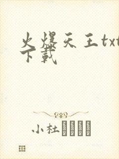 火爆天王txt下载封面