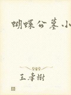 蝴蝶公墓小说封面