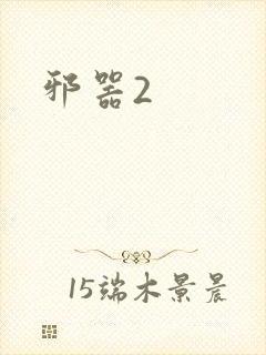 邪器2封面