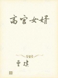 高官女婿