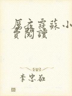 厉夜霆苏小汐免费阅读