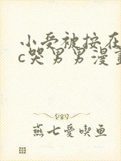 小受被按在墙上c哭男男漫画封面