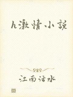h激情小说