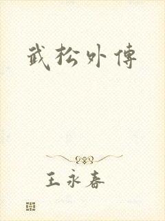 武松外传封面