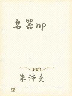 名器np封面
