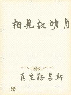 相见故明月