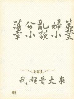 荡公乱妇第51章小说小莹