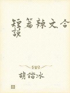 短篇辣文合集小说
