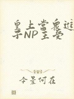 皇上当众进入太子NP主受