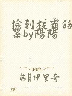 捡到校霸的遥控器by阳阳封面