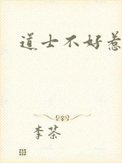道士不好惹小说封面