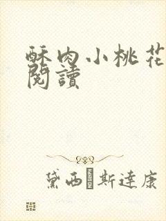 酥肉小桃花全文阅读