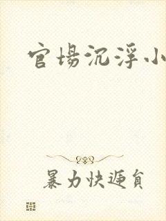 官场沉浮小说