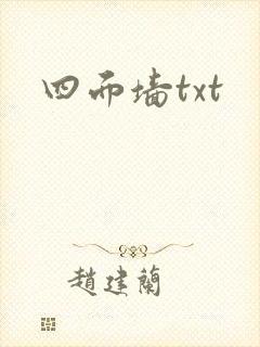 四面墙txt