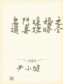 名门暖婚之权爷追妻攻略全文免费阅读