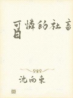 可怜的社畜东度日