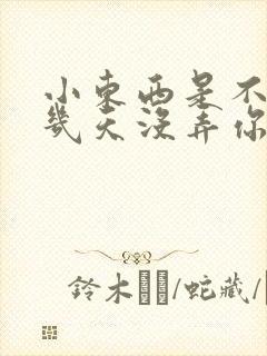 小东西是不是好几天没弄你了封面