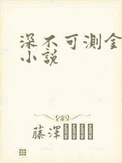 深不可测金银花小说封面