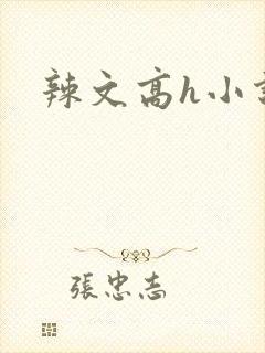 辣文高h小说封面