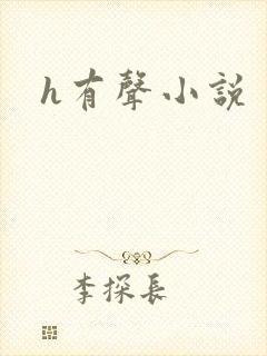 h有声小说