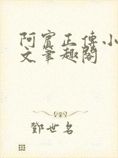 阿宾正传小说全文笔趣阁封面