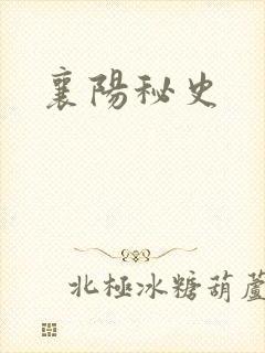 襄阳秘史