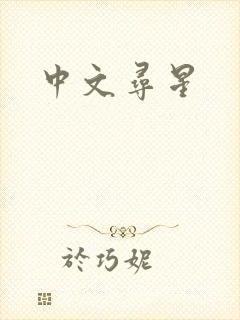 中文寻星封面