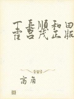 丁长顺和田晓兰霍吕茂正版