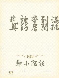 我被带到满是玩具的房间挑调作文封面