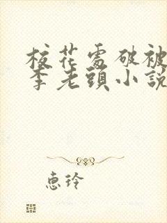 校花处破被灌满李老头小说封面
