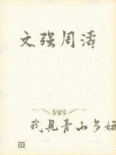 文强周涛