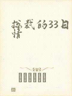 总裁的33日索情