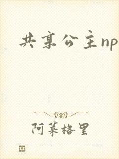 共享公主npc