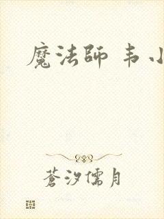 魔法师 韦小宝封面