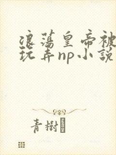 浪荡皇帝被多人玩弄np小说
