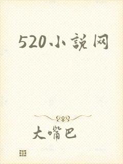 520小说网